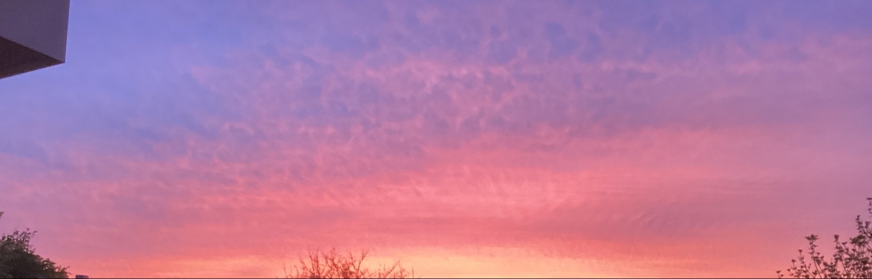 banner image